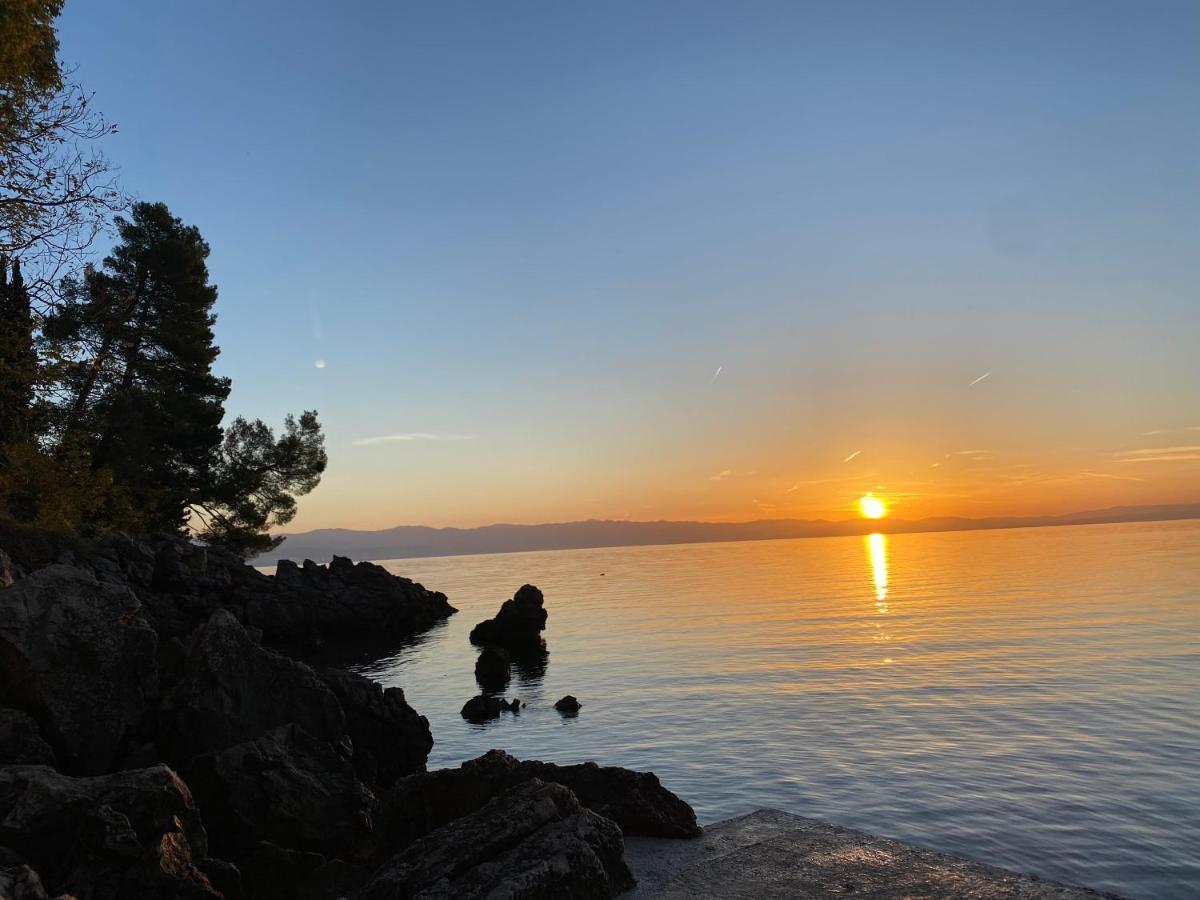 Villa Lovran - 150M To The Beach - Infinity Pool - Incredible Sea View - Fitness Room Экстерьер фото